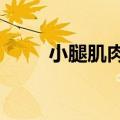 小腿肌肉疼痛是什么原因（xiaot）