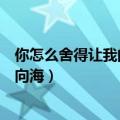 你怎么舍得让我的泪流向海什么歌（你怎么舍得让我的泪流向海）
