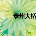 泰州大桥交通情况（泰州大桥地图）