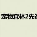 宠物森林2先遣队迷宫怎样进入（宠物森林2）