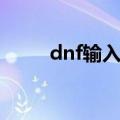 dnf输入法打不出字（dnf输入法）