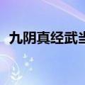 九阴真经武当4内任务（九阴真经武当4内）