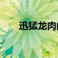 迅猛龙肉的食谱哪里买?（迅猛龙肉）