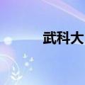 武科大 教务处（武科大教务处）