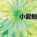  小爱触屏音箱连接手机怎么操作