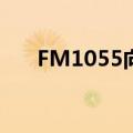 FM1055向阳而生的句子（fm105 5）