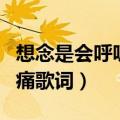 想念是会呼吸的痛歌词故事（想念是会呼吸的痛歌词）