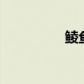 鲮鱼滑图片（滑皮鲭鱼）