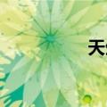 天生我材必有用的意思
