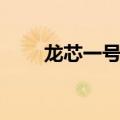 龙芯一号于哪一年上市（龙芯一号）