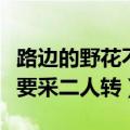 路边的野花不要采二人转歌曲（路边的野花不要采二人转）