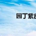 园丁紫皮激活码（丁香园激活码）