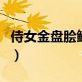 侍女金盘脍鲤鱼指什么动物（侍女金盘脍鲤鱼）