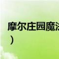 摩尔庄园魔法衣柜怎么用（摩尔庄园魔法衣柜）