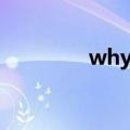 why绚香简谱（why绚香）