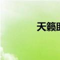 天籁助手怎么样（天籁助手）