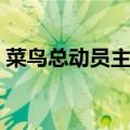 菜鸟总动员主题曲奇迹（菜鸟总动员主题曲）
