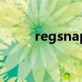 regsnap 导入注册表（repsnap）