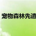 宠物森林先遣队河马天性（宠物森林先遣队）