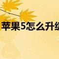 苹果5怎么升级到ios9（苹果5升级ios7教程）