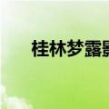 桂林梦露影城联达店（桂林梦露影城）