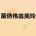 苗侨伟翁美玲主演的电视剧（苗侨伟 翁美玲）