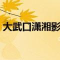 大武口潇湘影院今日影讯（大武口潇湘影院）