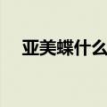 亚美蝶什么情况下用（亚美蝶什么意思）