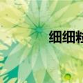 细细粒容易食 广告（细细粒）