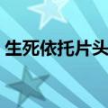 生死依托片头曲是谁唱的（生死依托主题曲）