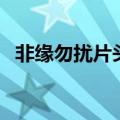 非缘勿扰片头曲是什么歌（非缘勿扰插曲）