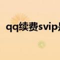 qq续费svip是什么意思（svip是什么意思）