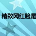 精致网红脸是什么脸适合什么发型（精致网）