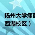 扬州大学瘦西湖校区有哪些学院（扬州大学瘦西湖校区）