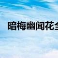 暗梅幽闻花全诗的真实意思（暗梅幽闻花）