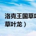 洛克王国草叶龙为什么放在天梯赛（洛克王国草叶龙）