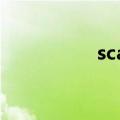 scat牌子（SCAT女装）