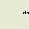 dnf枪王qq（dnf枪王）