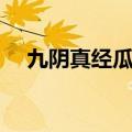 九阴真经瓜州青材料（九阴真经瓜州青）
