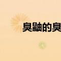 臭鼬的臭味有多厉害（臭鼬有多臭）