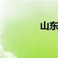 山东彩铃官网（山东彩铃）