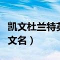 凯文杜兰特英文名字哪个是姓（凯文杜兰特英文名）