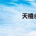 天禧永泰陶亚东（天禧永泰）