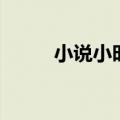 小说小时代的作者（小说小时代）