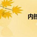 内控王 破解版（内控王）
