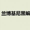 兰博基尼黑蝙蝠有多少万（兰博基尼黑蝙蝠）