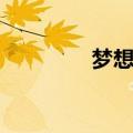 梦想旅行日志（梦想旅行）