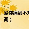 爱你痛到不知痛歌词含义（爱你痛到不知痛歌词）
