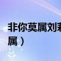 非你莫属刘莉莉个人资料简历（刘莉莉非你莫属）