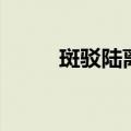 斑驳陆离拼音怎么读（斑驳陆离）